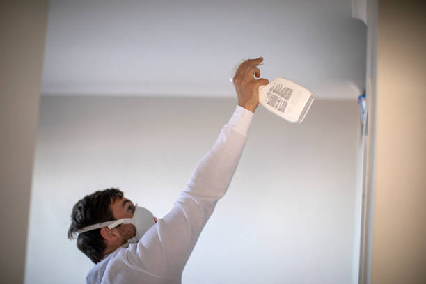 Best Best Mold Removal Companies  in East Port Orchard, WA